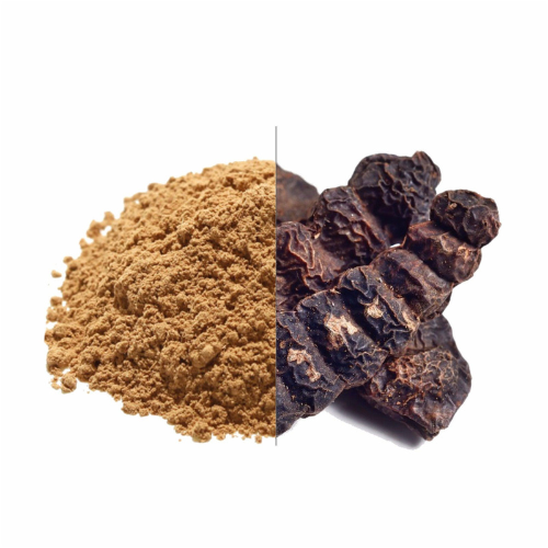 Acacia Concinna Powder