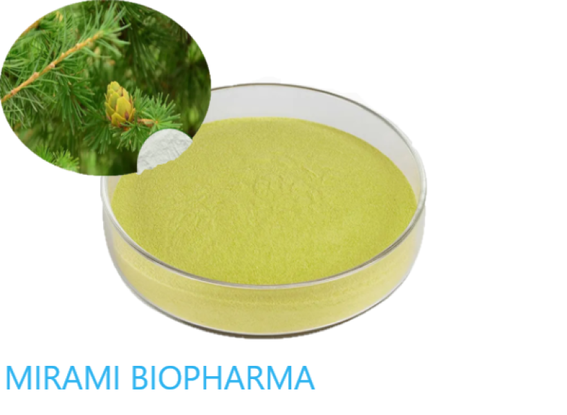 Natural Flavonoid Antioxidant Taxifolin Dihydroquercetin (DHQ) Powder 90% 95% 98%