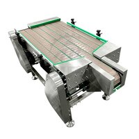 Accumulation Conveyor