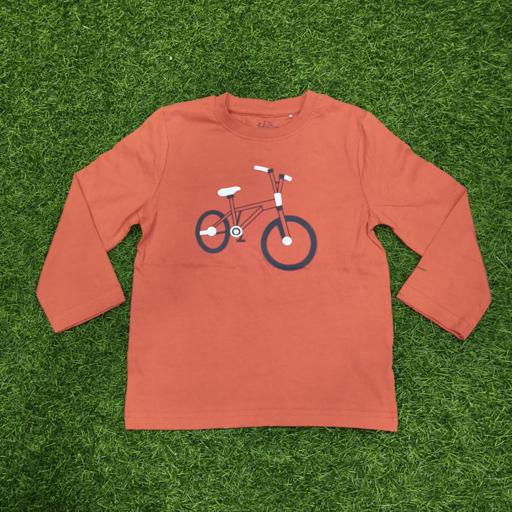 Boys Export Fullsleeve Tshirt Code 10 - Age Group: 2 To 8 Years