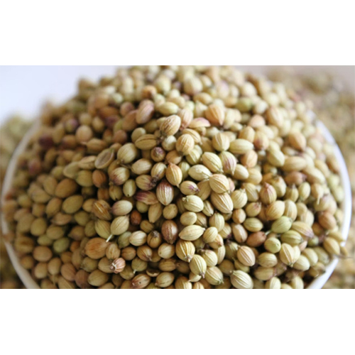 Coriander Seeds (Dhaniya Seeds)
