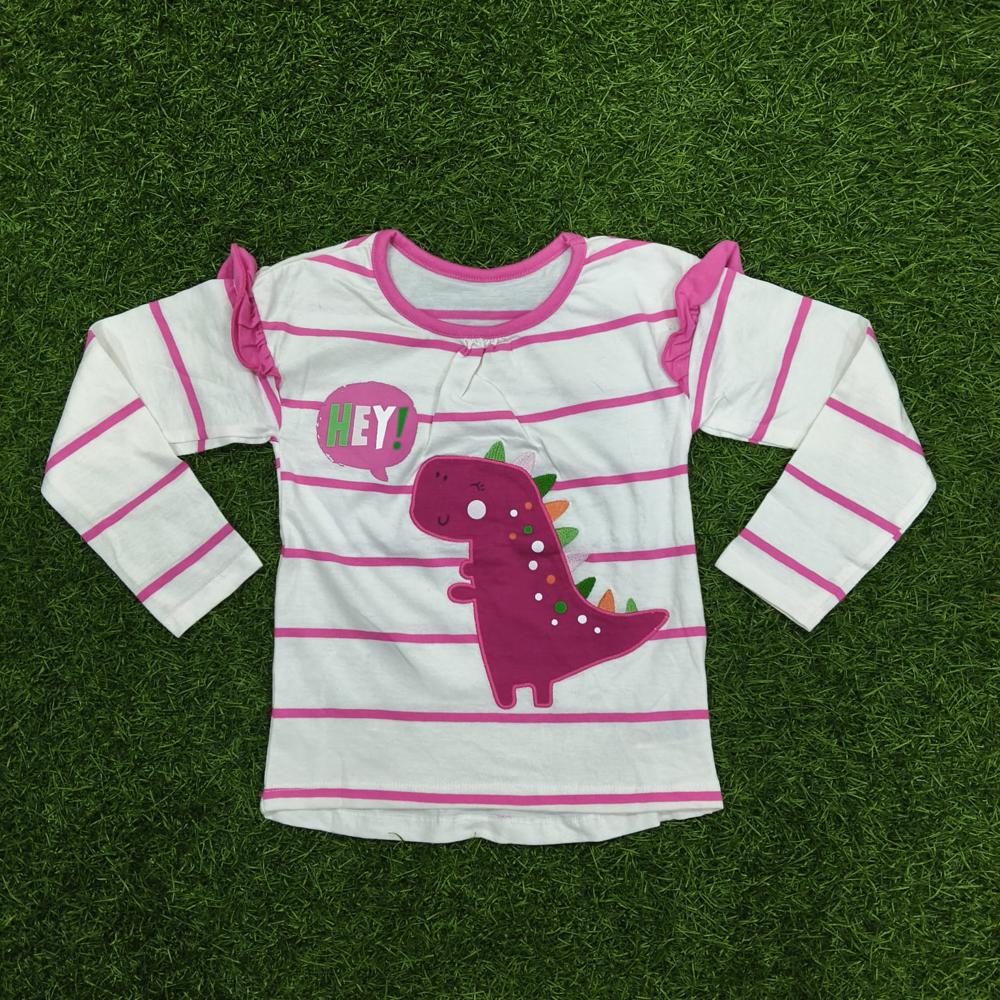 Babies Export Full Sleeve Tshirt Code 08 - Age Group: 6 To 24 Months