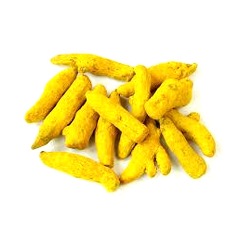Raw Turmeric Fingers - Haldi - Color: Bright Yellowish-Orange