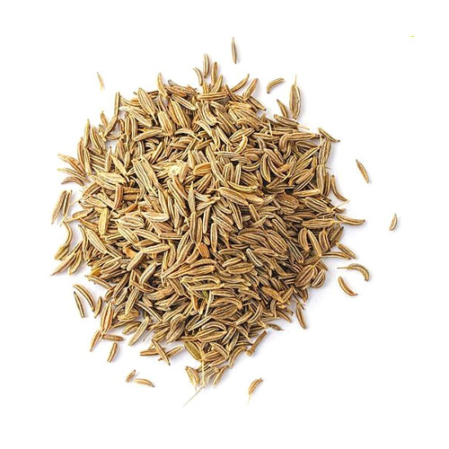 Cuminum Seeds - Jeera