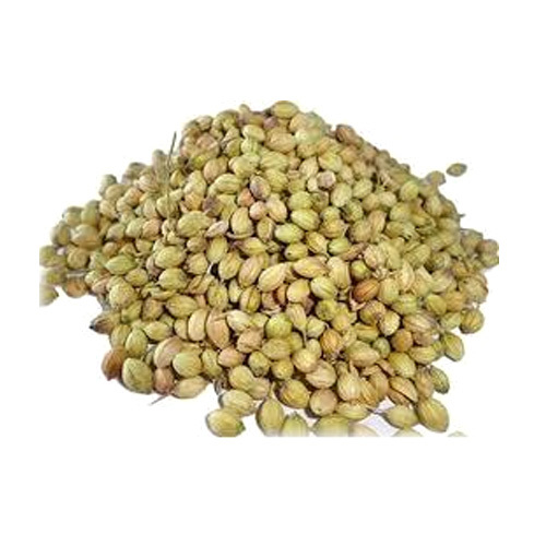Coriander Seeds- Dhaniya - Color: Light Brown To Yellow Brown