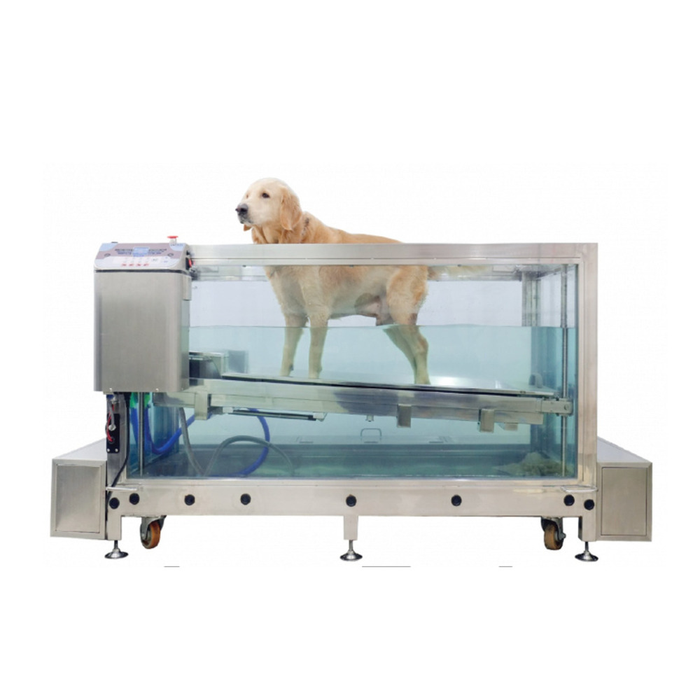 Vet Physiotherapy Items