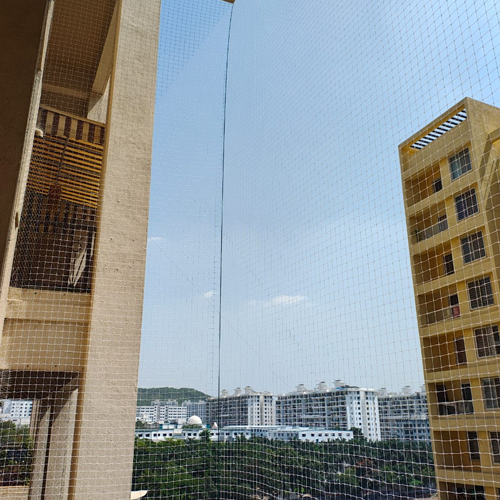 Apartment Covering Bird Protection Nets