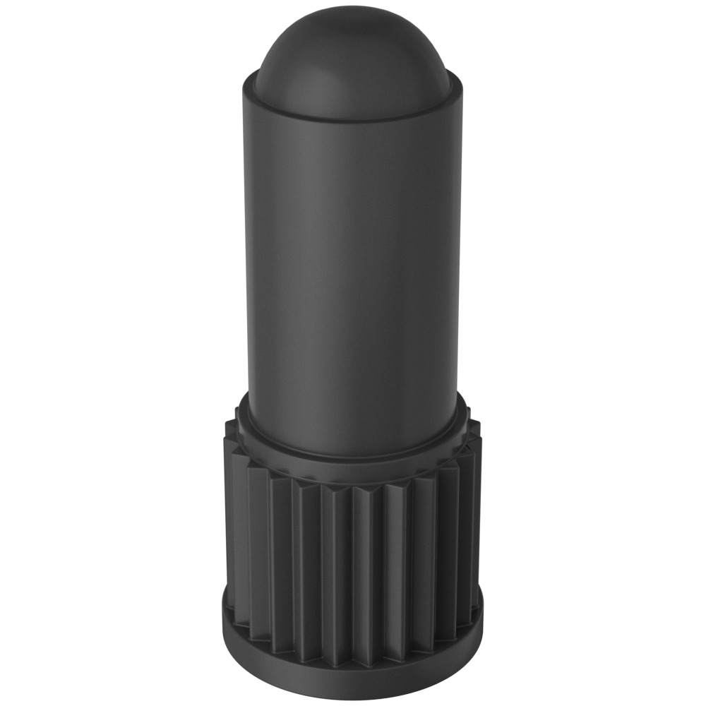 Plastic Tire Valve Cap