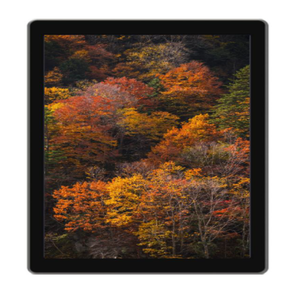 F110 Capacitive HMI (Flexem make)