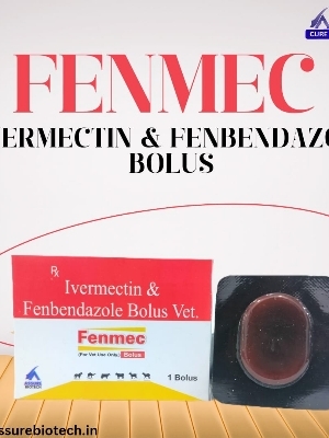 FENMEC bolus