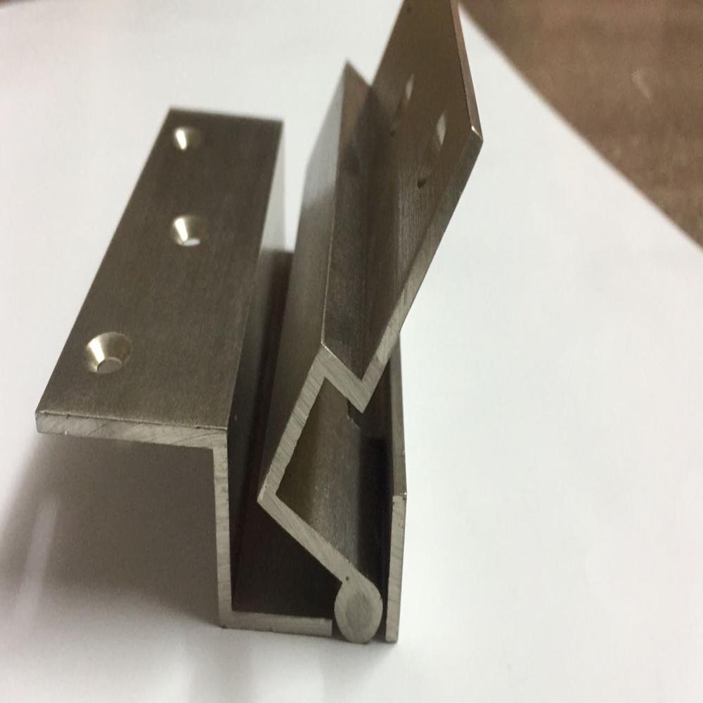 Ss Duck Hinges - Color: Any