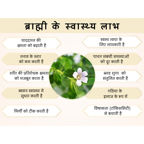 Brahmi Powder - Cultivation Type: Natural