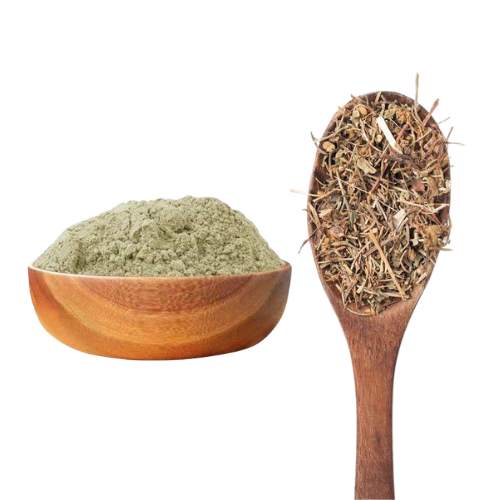 Brahmi Powder - Cultivation Type: Natural