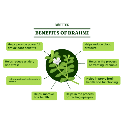Bacopa monnieri Powder