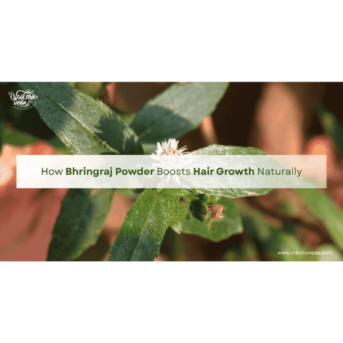 Bhringraj Leaves Powder