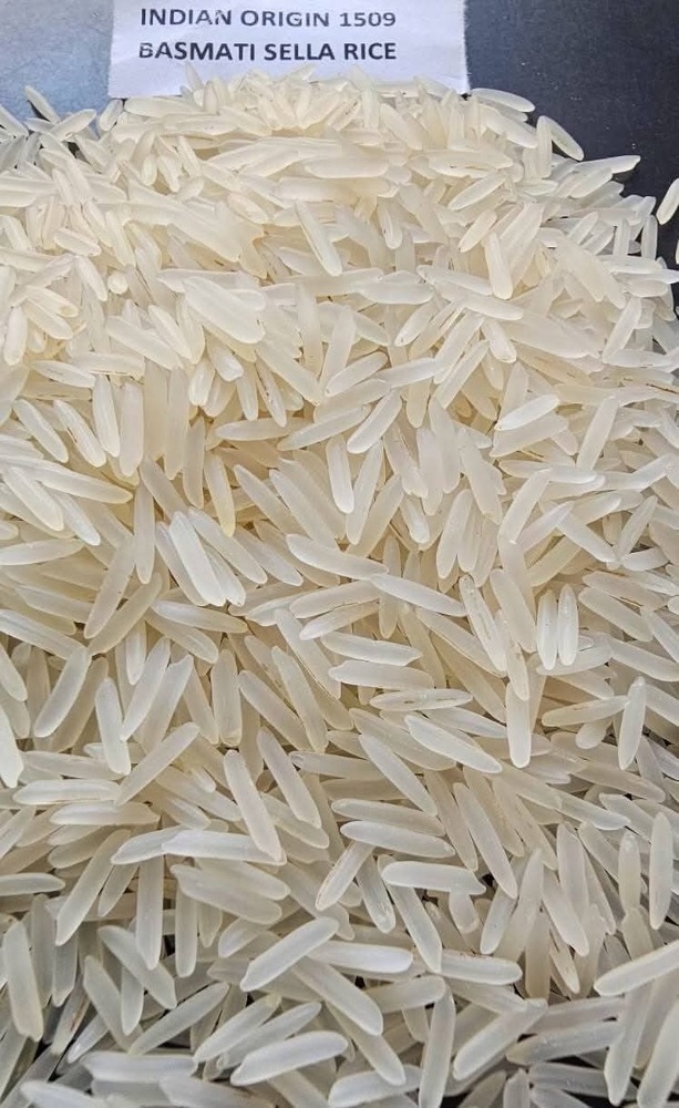 1509 Sella Basmati Rice