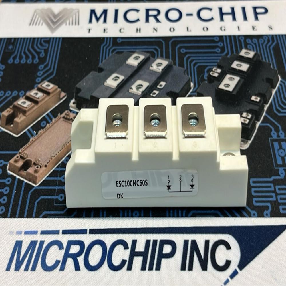 SKM100GB12T4 SEMIKRON  DUAL IGBT MODULE 