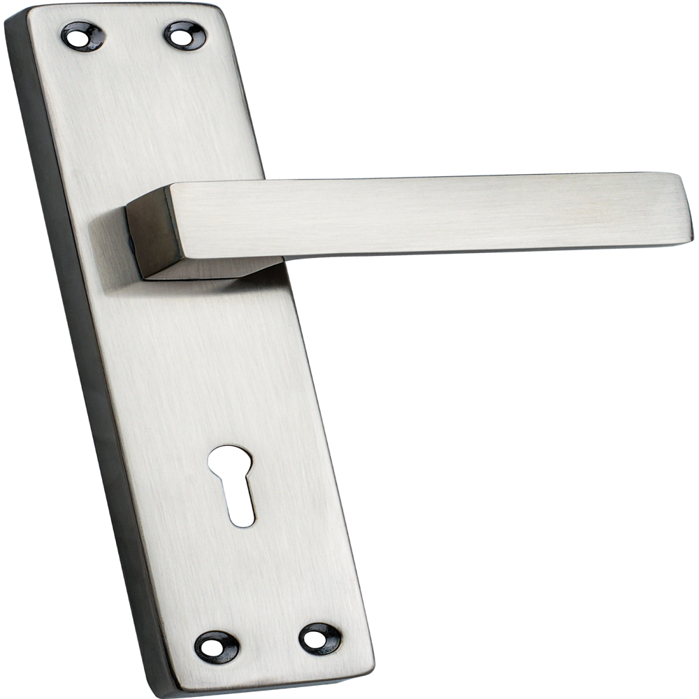 Door Lock Zinnia Spider