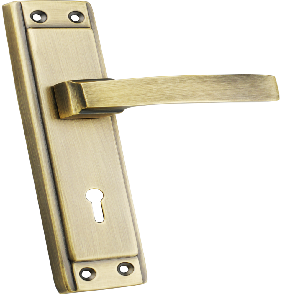 SS Door Lock Zinnia Spider