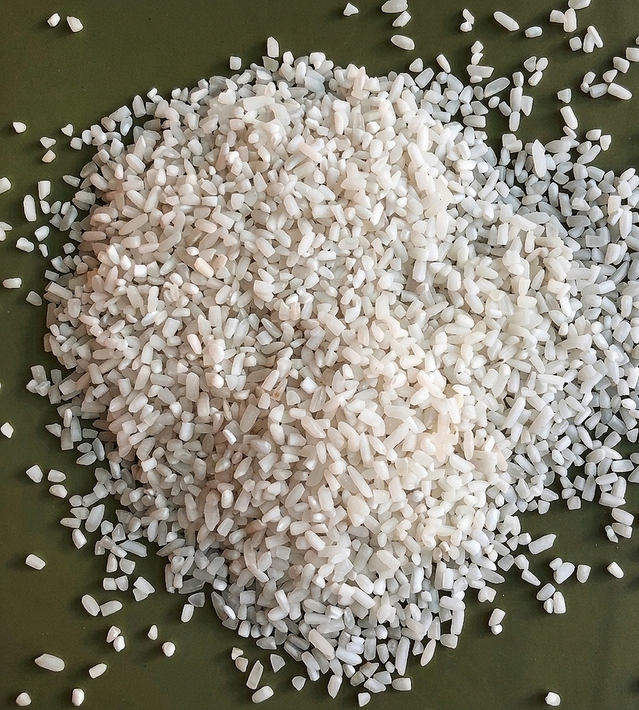 Raw 100% Broken Rice