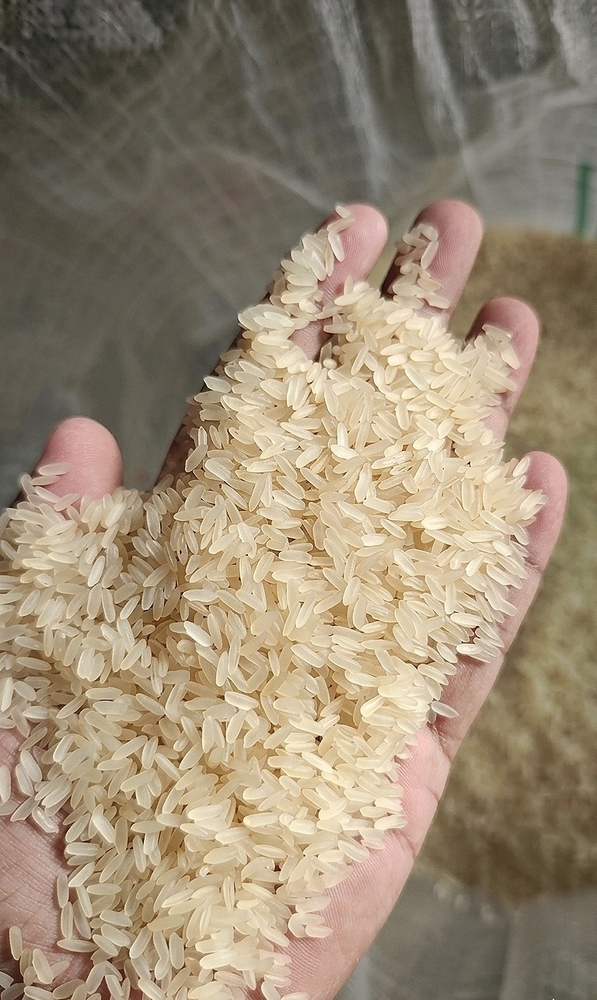 Parboiled IR 64 Rice