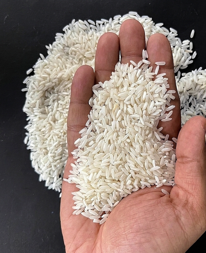 Raw IR 64 Rice