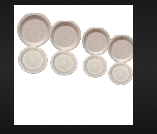 Disposable plate 10"