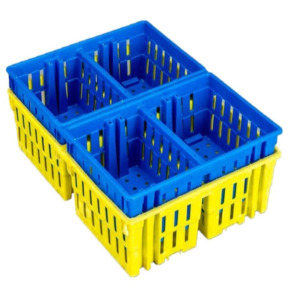 Chicks Transportation Box - Coating Type: Uv Protected