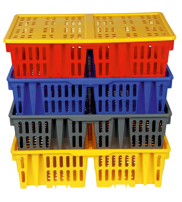 Chicks Transportation Box - Coating Type: Uv Protected