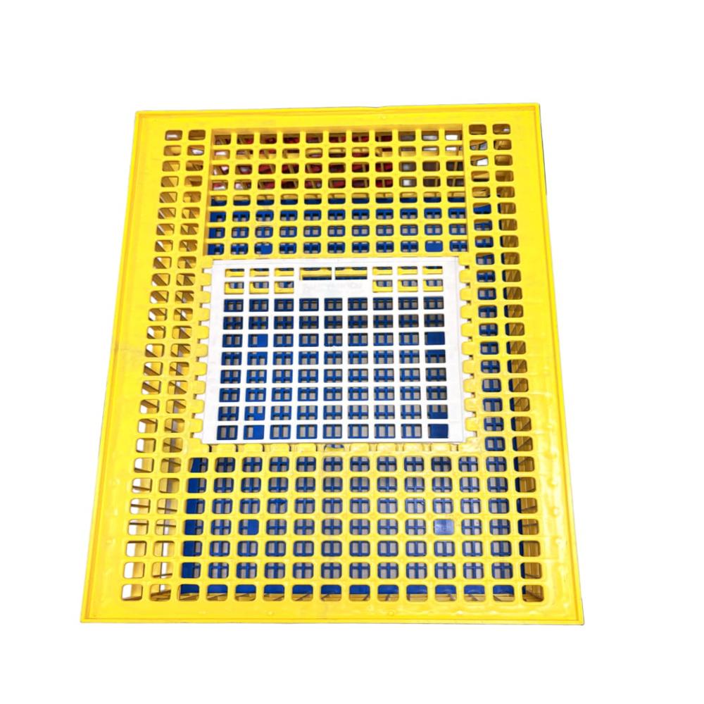 Bird Transportation Box Cage