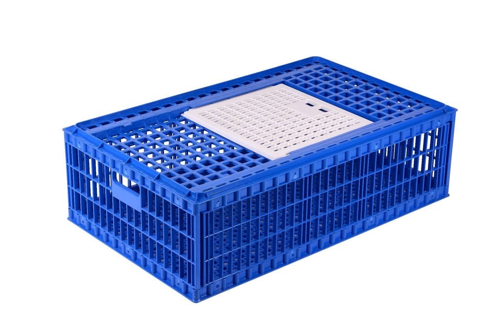 Bird Transportation Box Cage