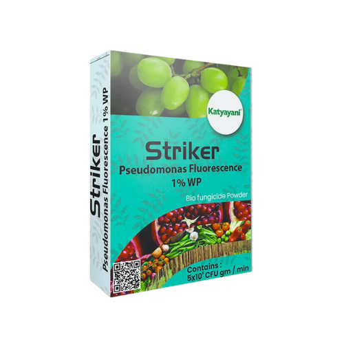 Striker Pseudomonas Fluorescens Bio Fungicide Powder - Application: Agriculture