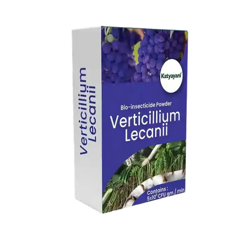 Verticillium Lecanii Powder Bio Insecticide Powder - Color: White