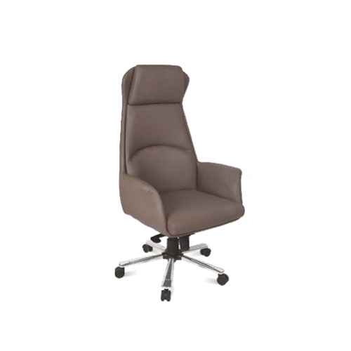 RSC-1604 Sleek Director Chair