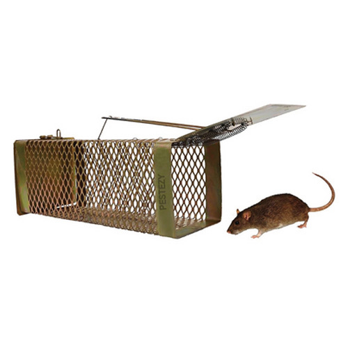 Criss Croos Design Rat Trap Cage