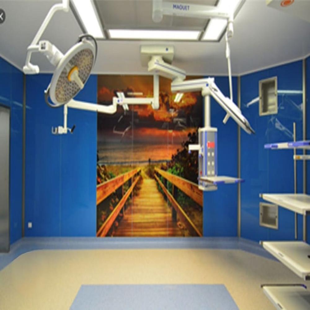 Toughened Glass wall Panel