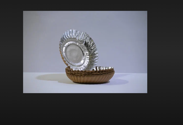 paper plate 7