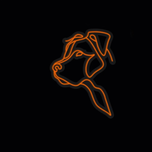 Acrylic Pet Spa LED Neon Sign Board