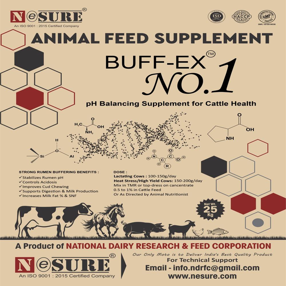 BUFF-EX NO. 1