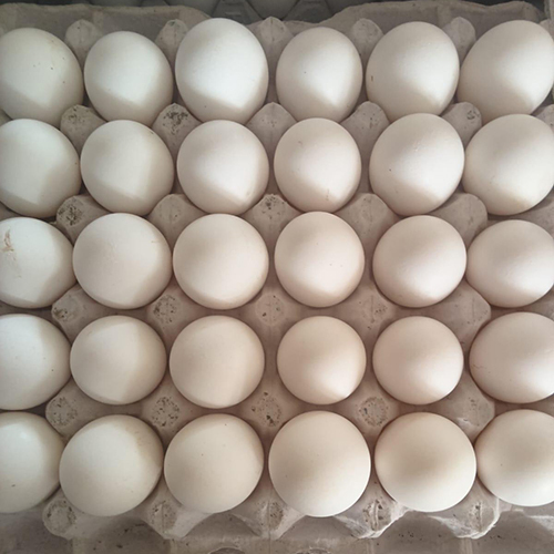 White Eggs