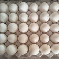 White Eggs