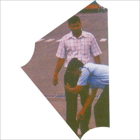 VIP सुरक्षा सेवाएँ