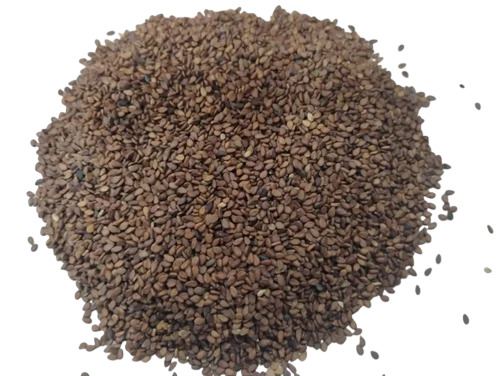 लाल तिल के बीज