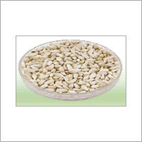 कुसुम के बीज