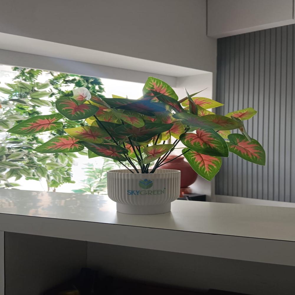 Artificial Caladium Bicolor Plant