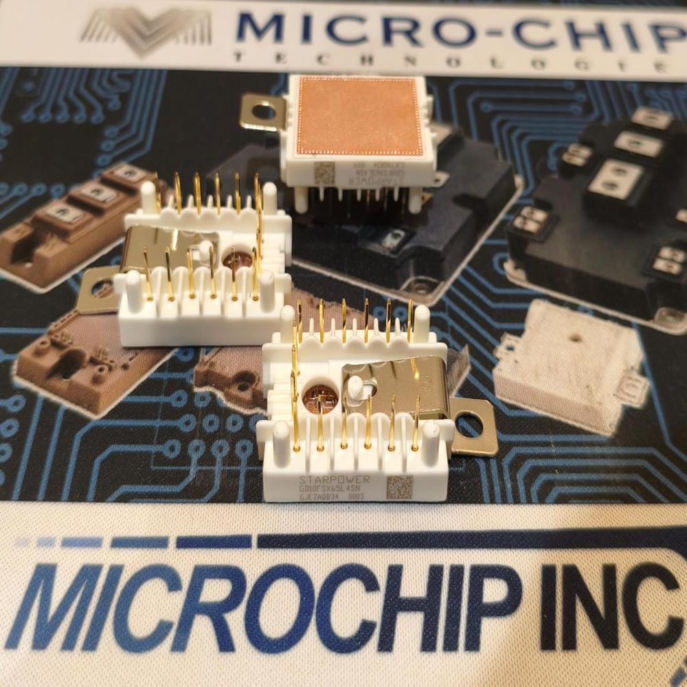 GD10FSX65L4SN STARPOWER IGBBT MODULE