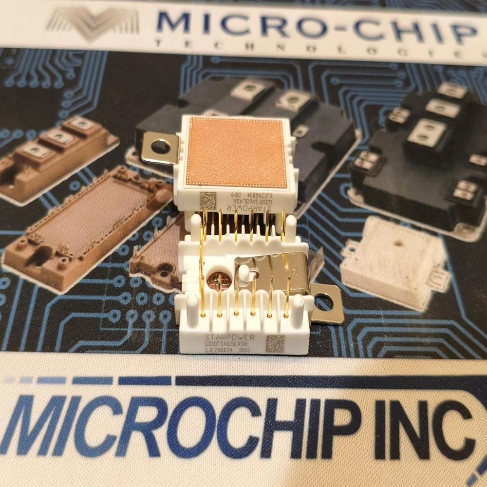 GD10FSX65L4SN STARPOWER IGBBT MODULE