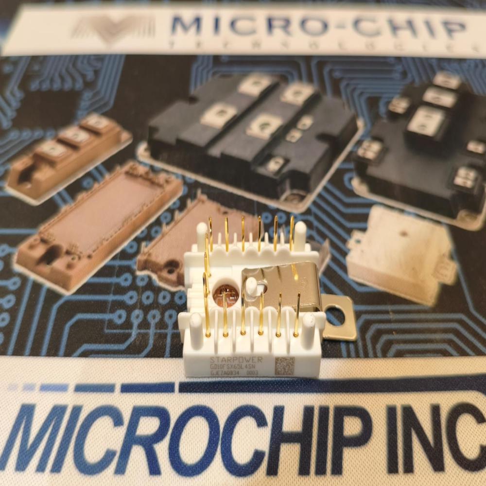 GD10FSX65L4SN STARPOWER IGBBT MODULE