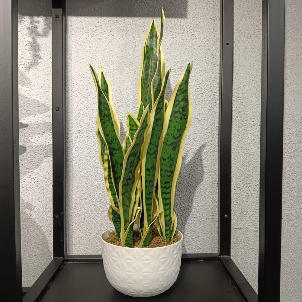 Artificial Short Yellow Snake Plant