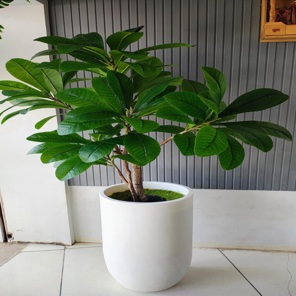 Artificial Frangipani Plant